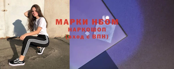 прущие грибы Армянск