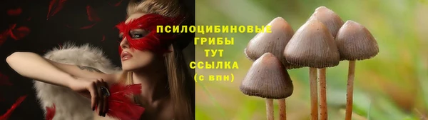 кокаин Арсеньев