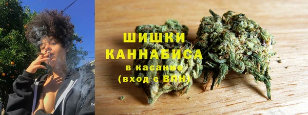 прущие грибы Армянск