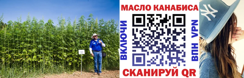 Купить где Козловка ТГК гашишное масло