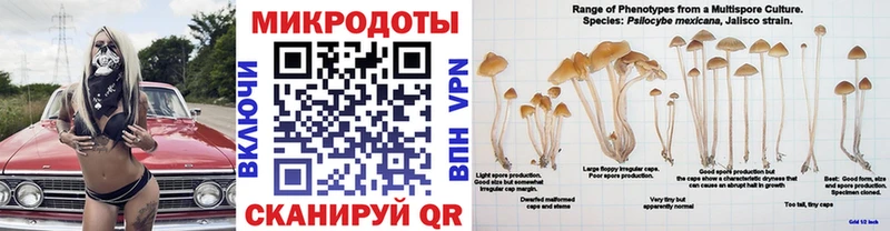 Купить где Козловка Псилоцибиновые грибы Magic Shrooms